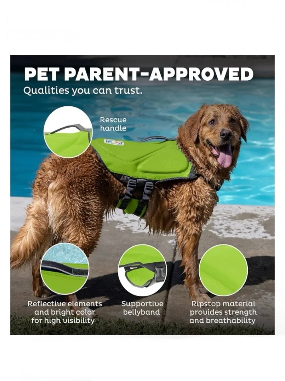 Outward Hound 🐶 dawson